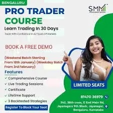 Stock Market Mentor